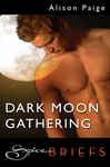 Bookcover: Dark Moon Gathering