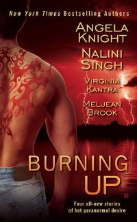 Bookcover: Burning Up