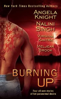 Bookcover: Burning Up Bookcover: Burning Up