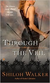 Bookcover: Through the Veil