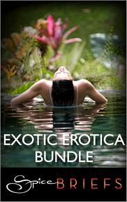 Bookcover: Exotic Erotica Bundle