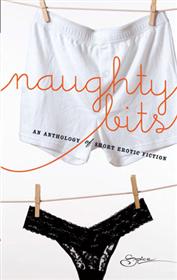 Bookcover: Naughty Bits